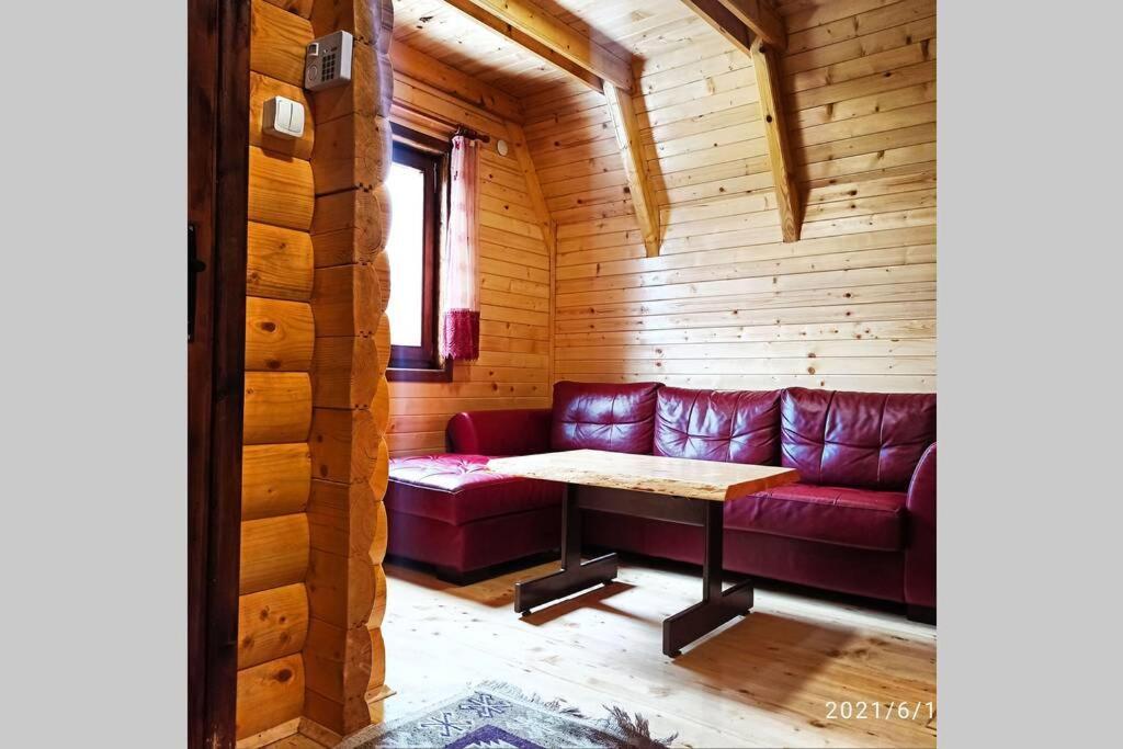 Pinecone Βίλα Žabljak Εξωτερικό φωτογραφία